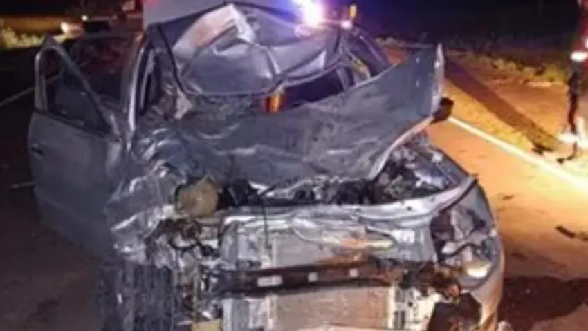 CINCO HERIDOS TRAS CHOCAR CONTRA UN BÚFALO EN RUTA 12