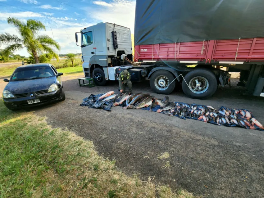 GOLPE CONTRA LA DEPREDACIÓN DE LA FAUNA ICTÍCOLA EN RUTA DE CORRIENTES