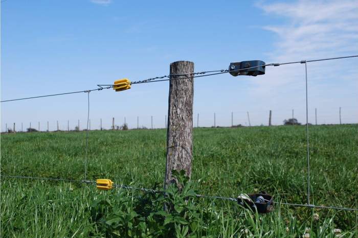 TRABAJADOR MURIÓ ELECTROCUTADO CUANDO INSTALABA BOYEROS