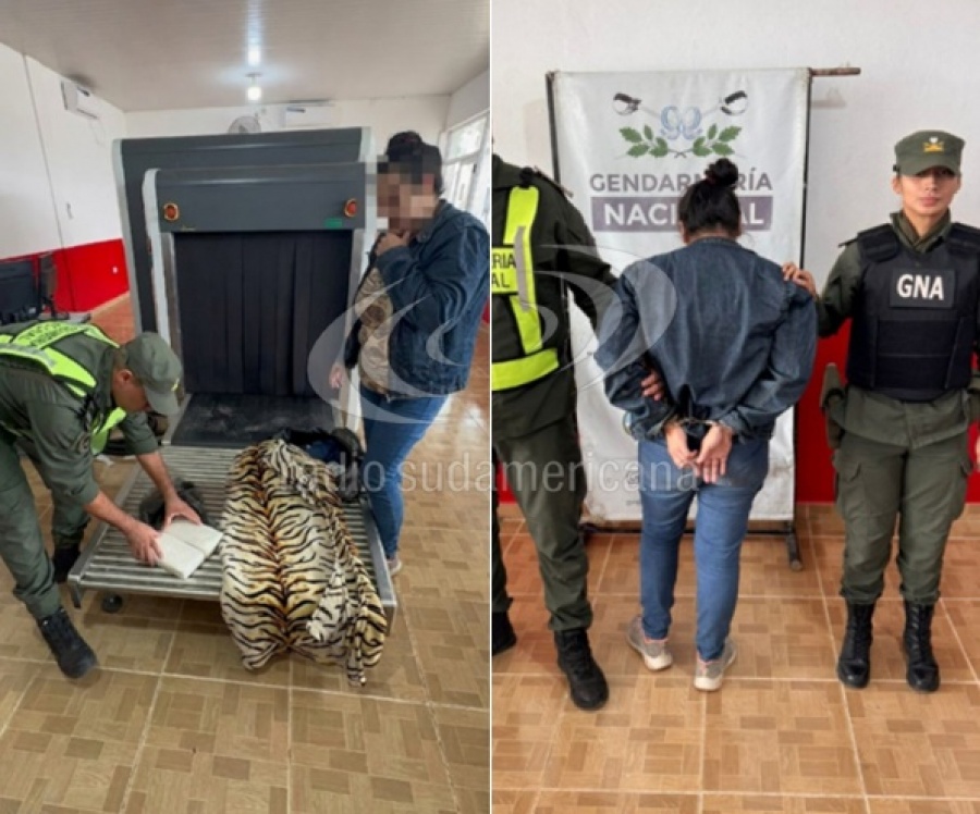 VIAJABA A CORRIENTES CON MÁS DE DOS KILOS DE COCAÍNA Y FUE DETENIDA