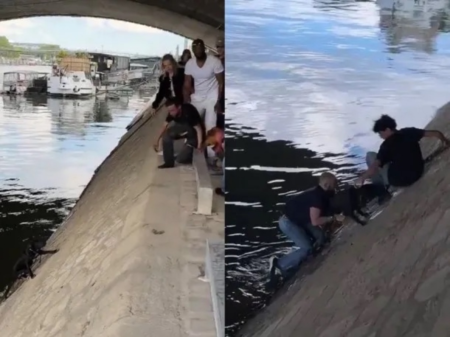 ASÍ FUE EL DRAMÁTICO RESCATE DE UN PERRO QUE CAYÓ AL RÍO SENA EN PARÍS